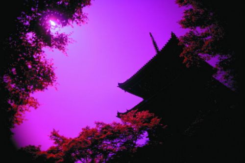 境外品質游圖片