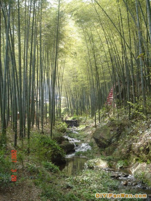 天目湖圖片