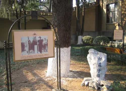 南京總統府圖片