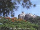 日光岩