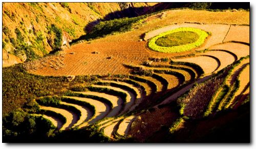 東川紅土地圖片