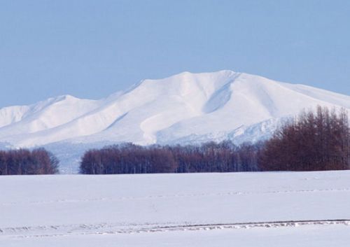 北海道的冬天圖片