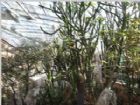 北京市植物園組圖（1）