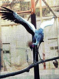 哈爾濱動物園圖片
