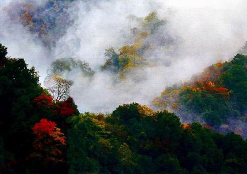 二郎山圖片