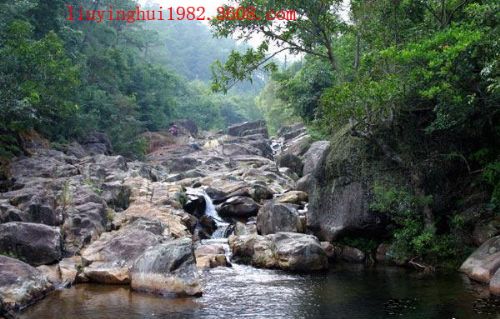 廣西王崗山圖片