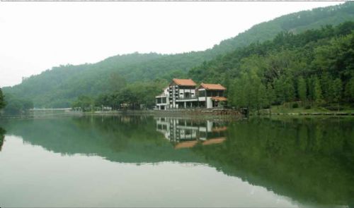深圳仙湖植物園圖片