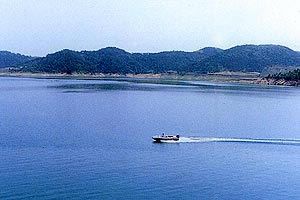 石漫灘國家森林公園圖片