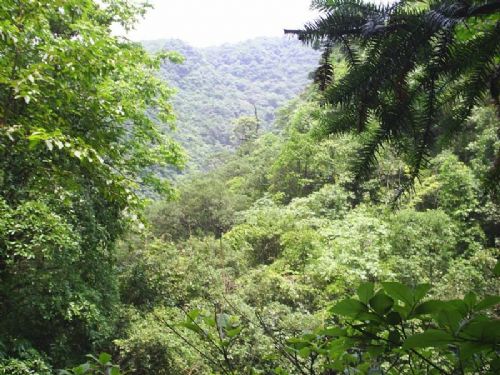 古田山圖片