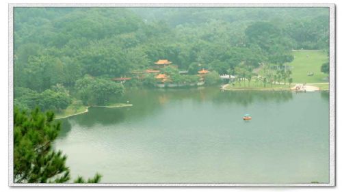 深圳仙湖植物園圖片