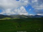 雲南大海草山