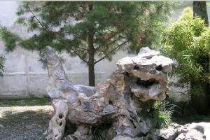 獅子林圖片