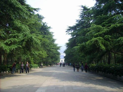 鐘山景區圖片
