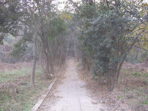 宗澤墓圖片