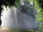 廈門園林植物園