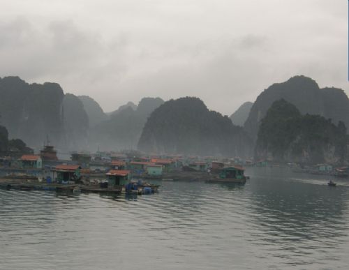 下龍灣圖片