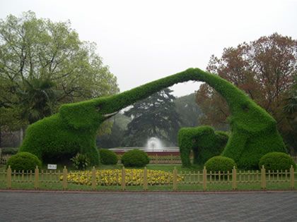 上海動物園圖片