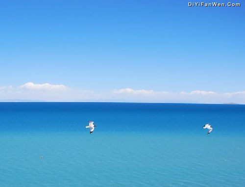 青海湖圖片