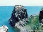 海心山