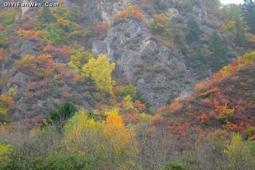 興隆山圖片