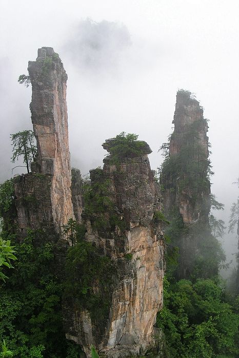 天子山風情圖片