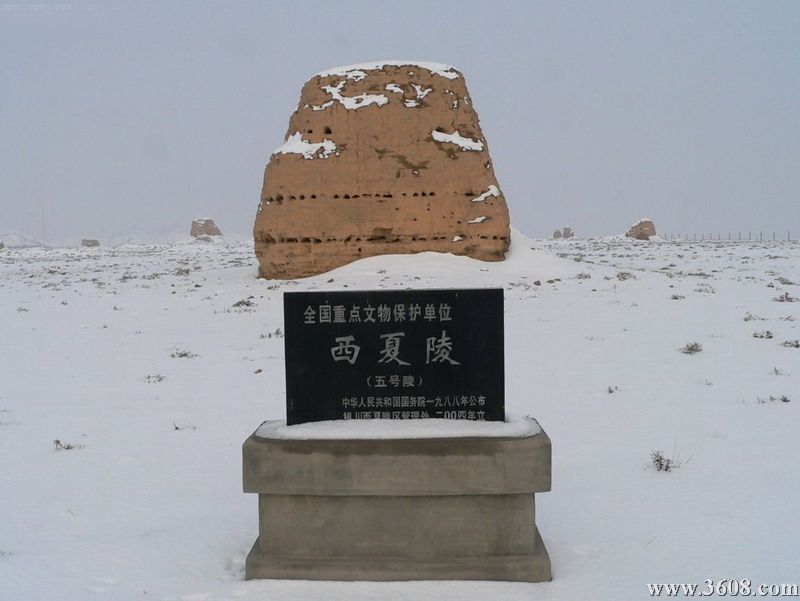 西夏王陵圖片