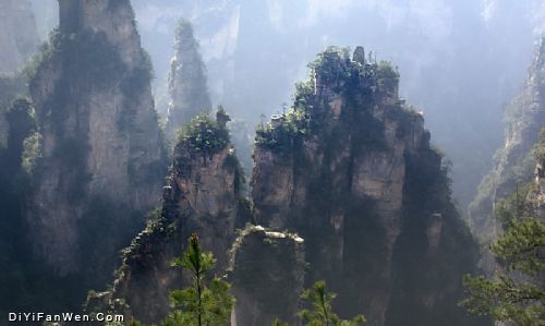 張家界砂岩峰林圖片