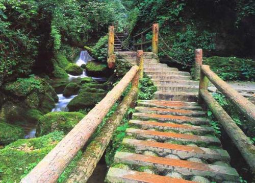 四川青城山圖片