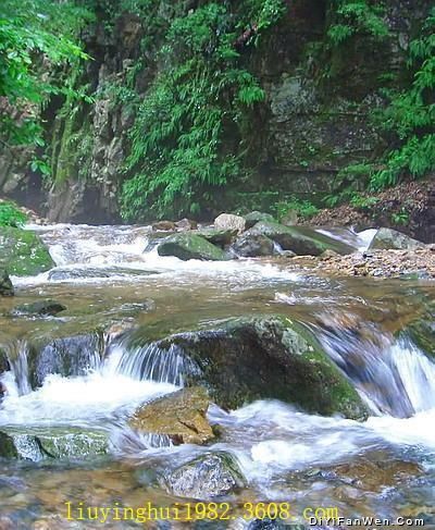 五女峰國家級森林公園圖片
