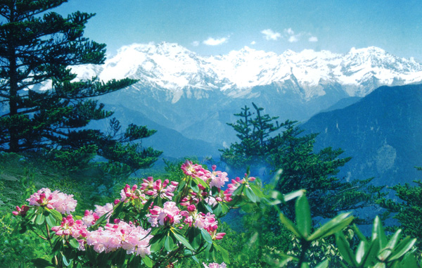 西嶺雪山圖片