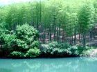 東明山森林公園
