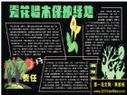 保護環境黑板報