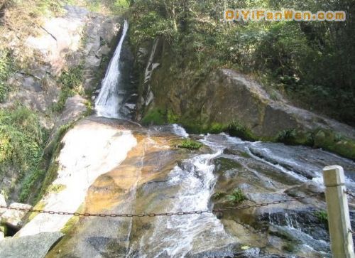 湖南舜皇山國家森林公園圖片