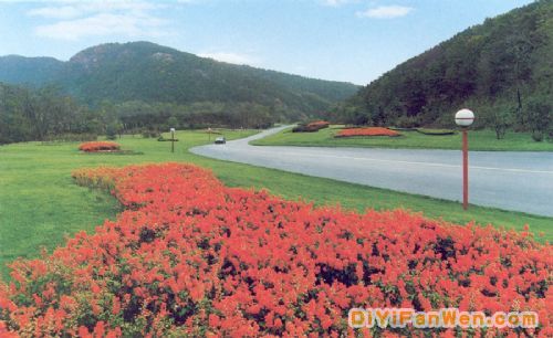 大連迎賓路圖片