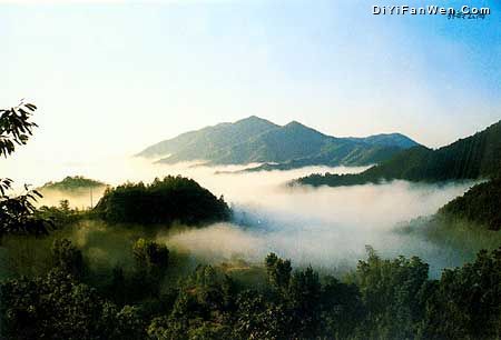 老界嶺風景區圖片