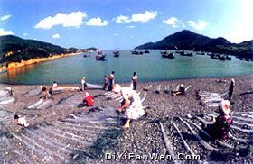 朱家尖烏石塘圖片