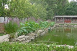 北京恭王府一角（組圖）圖片