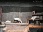 聖亞海洋世界
