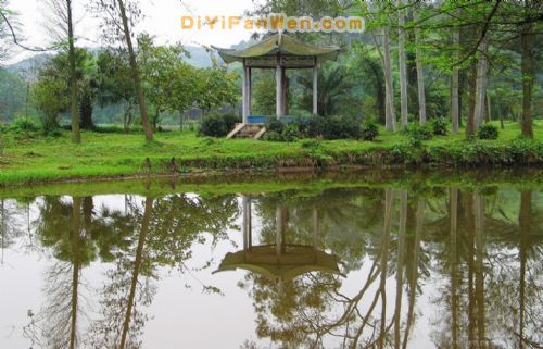 南寧良鳳江國家森林公園圖片