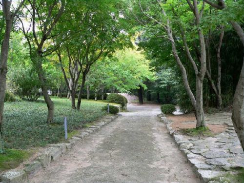 韓國慶州佛國寺圖片