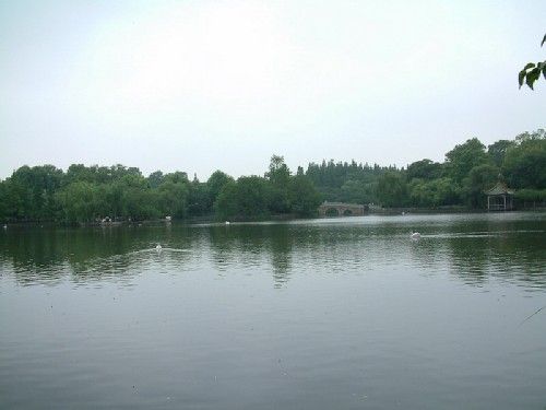 上海動物園圖片