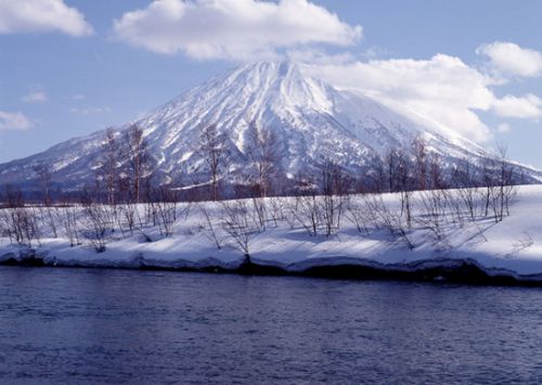 北海道的冬天圖片