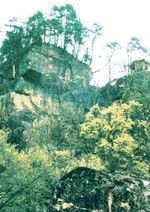 五女峰國家級森林公園圖片