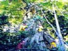 西雙版納綠石林森林公園