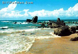 大洲島圖片