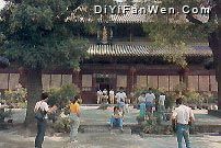 崇善寺圖片