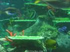 香港海洋公園
