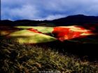 雲南昆明東川