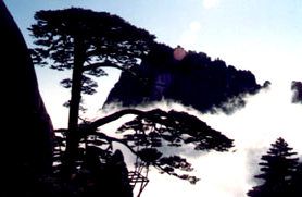 黃山風光圖片