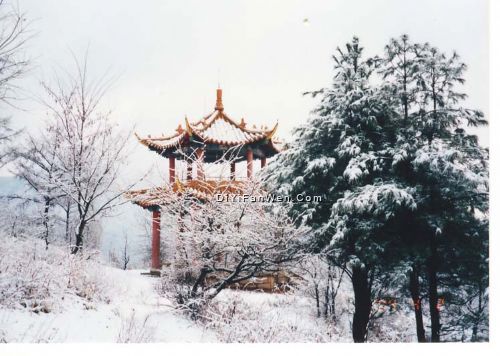 北山公園圖片